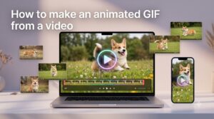How to make an animated GIF from a video